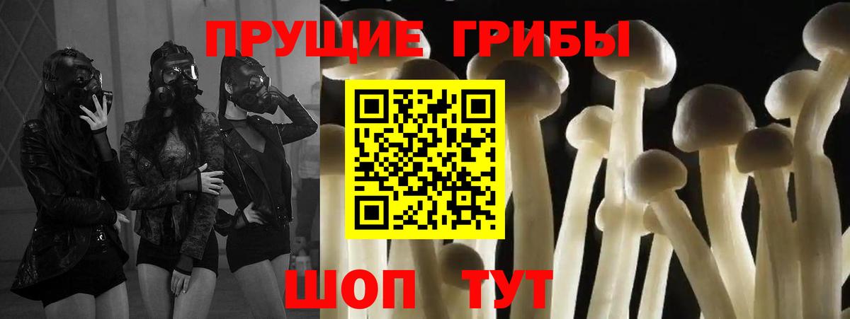 наркошоп  Вход с VPN  Орёл  Псилоцибиновые грибы мицелий  Псилоцибиновые грибы Psilocybe 